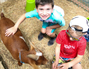 two boys petting a goat